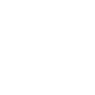 DaavidsonnCZ's emblem