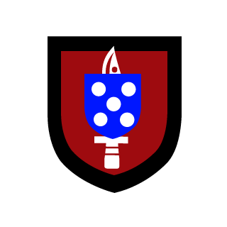 Pidzy NVO's emblem