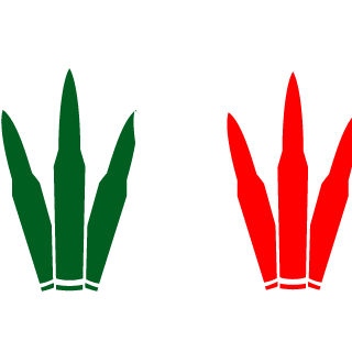MacAngelo95's emblem