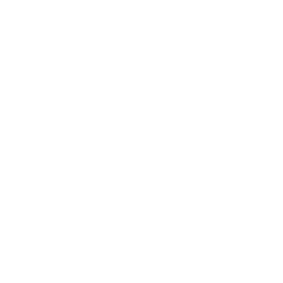 videolopes23's emblem