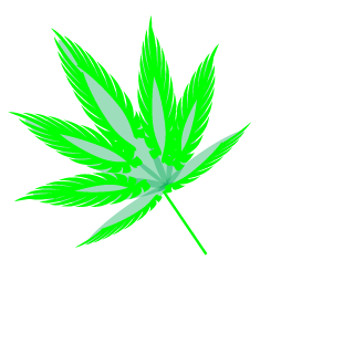 Cleber Maya's emblem