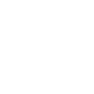twtsale's emblem