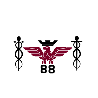 MercesLetifer88's emblem