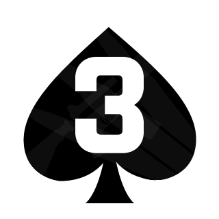 Nzi500's emblem
