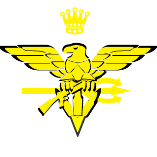 SAMY10KE's emblem