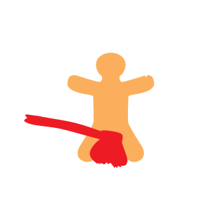 Samuelsonmag's emblem