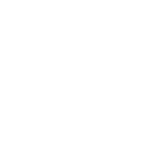21_MrSchenko's emblem