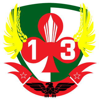 Afro-Ninja1503's emblem