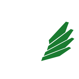 Hung0102X's emblem