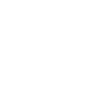 File_2's emblem