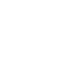 Zero50501's emblem