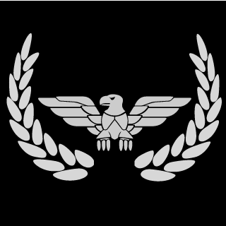 Maverick3351's emblem