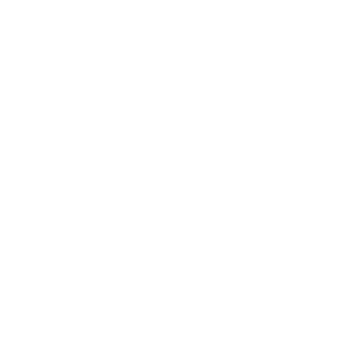 fixy2323's emblem