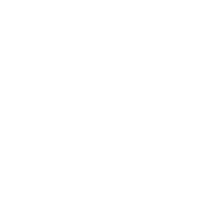 lDontCamp's emblem