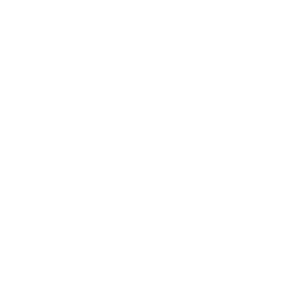 F2_Denial's emblem