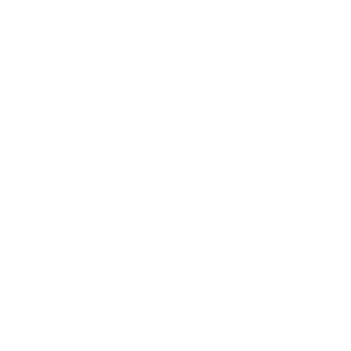 Trit23Rus's emblem