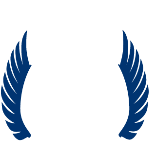 Div1nity's emblem