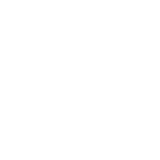 NITROPENlS's emblem
