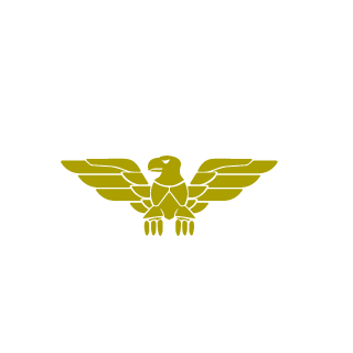 Viper_ACR2010's emblem