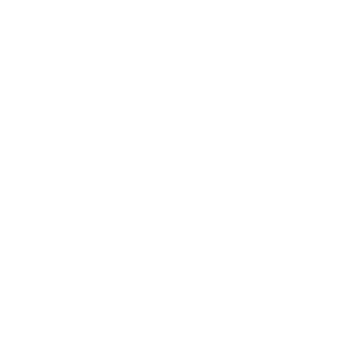 D1ogoAraujo's emblem