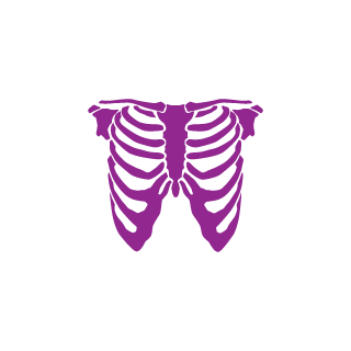 nikorgGR21's emblem