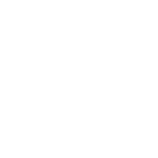 Ruannx's emblem
