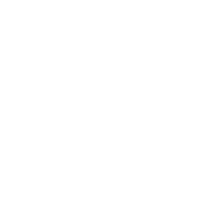 Fabiojrdc's emblem