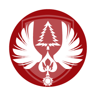 JBergs_101's emblem
