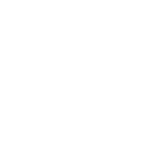 Dubastic's emblem