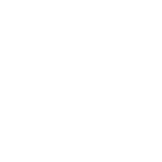 ThibZ976's emblem