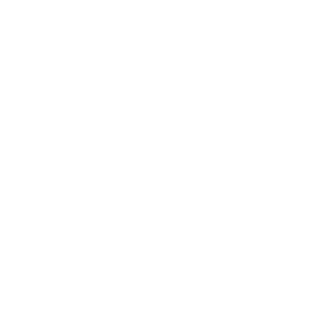 Zappi08's emblem