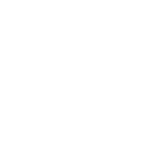 Arcarsenall's emblem