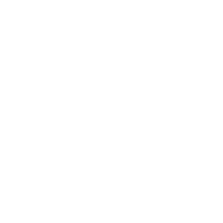 GrandmotherFlash's emblem