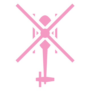 1571710919wasd's emblem