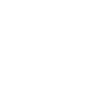 WildMineTurtle's emblem