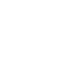sqwadnoi's emblem