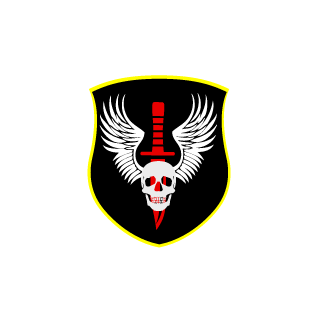 starhero4ever's emblem