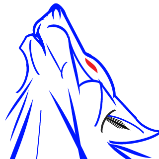 RdLm_jfmaverick's emblem