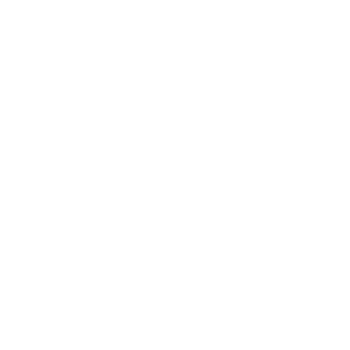 275dac1f02119e81's emblem