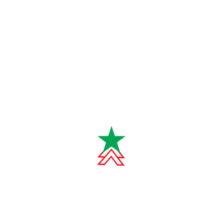 nyan's emblem