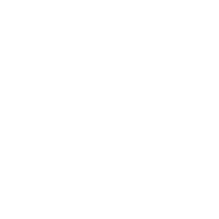 Zirred's emblem