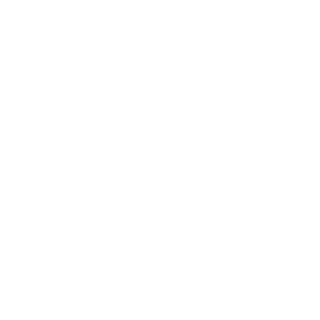 TeletubbyMK5's emblem