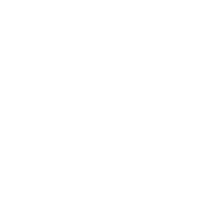 SolidArmyV's emblem