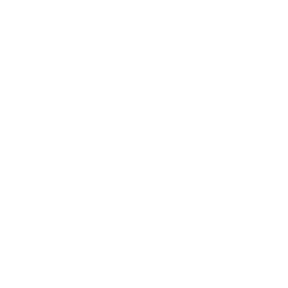 7IllusionFox's emblem