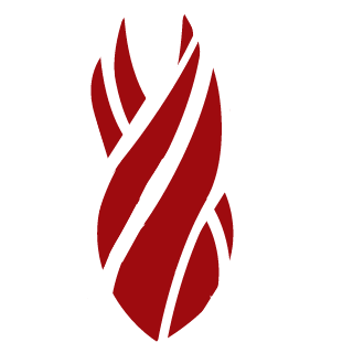 xXb1gblastXx's emblem