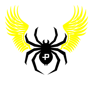 Raygo76's emblem