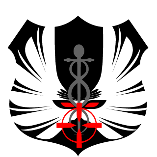 A3N Akira13's emblem