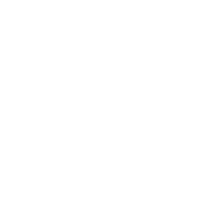 E4D_Bugallo's emblem