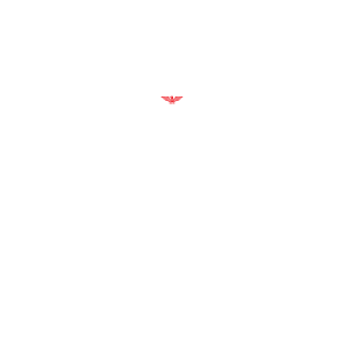 TimurBD's emblem