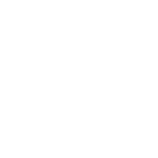 SirSlmpsalot's emblem